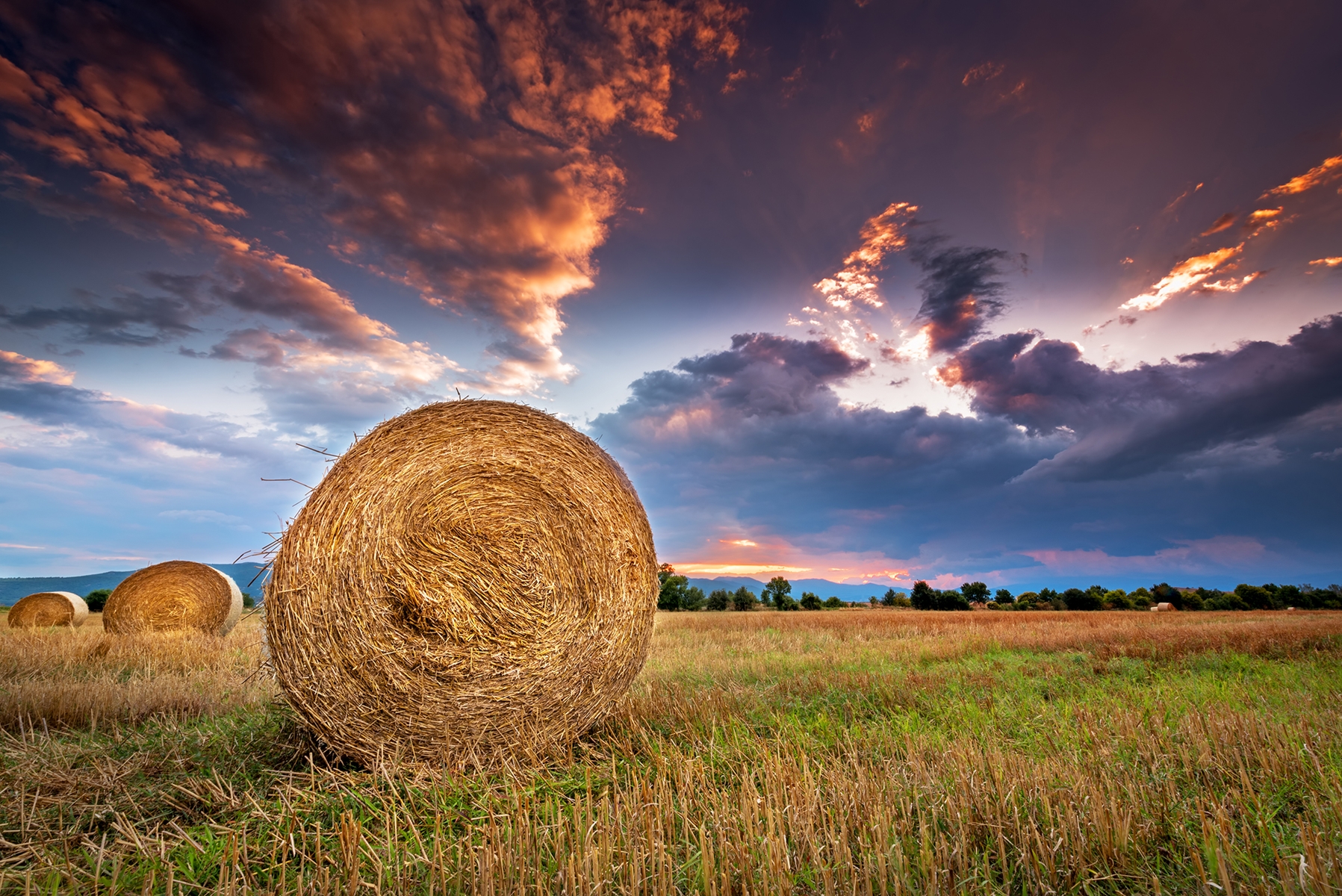 Agricultural field with hay bales at sunset